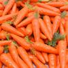 Christmas Berry Wedding Fruit Party Supplies Carrots Artificial Vegetables Kitchen Decoration