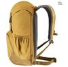 Рюкзак Deuter Walker 24 chestnut/umbra (3812921-6616)