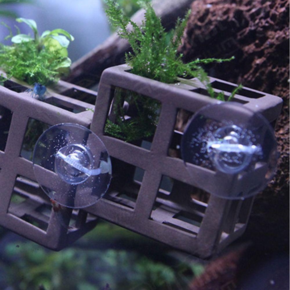 4/8/20 Stück Starke Saugkraft Aquarium Saugnäpfe Set Verstellbare Kabelbinder Pflanzen Befestigung Fischbecken Saughaken Transparent