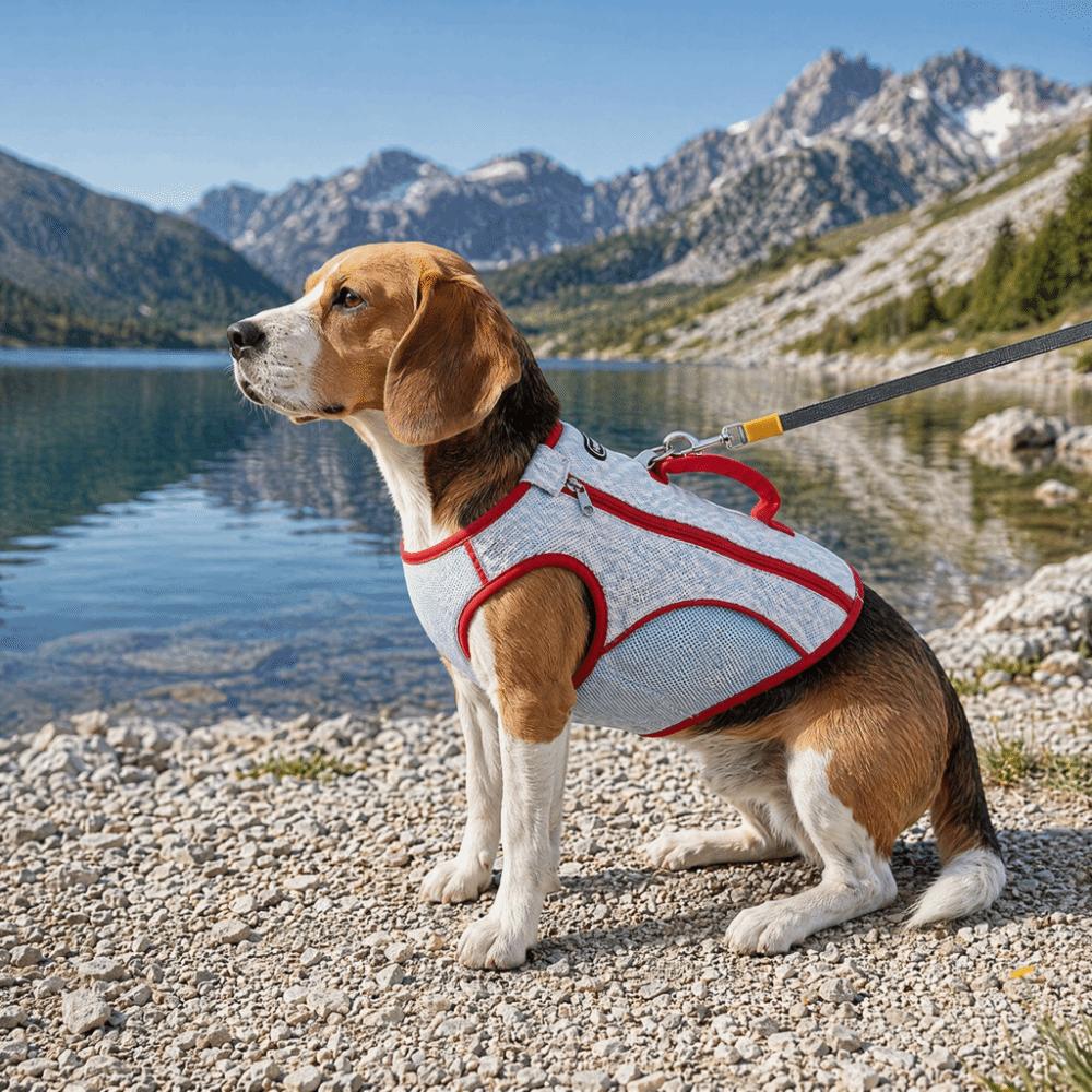 Sun Protection Pet Cooling Shirt Breathable Dog Sunscreen Clothes Dog Cooling Vest  Walking