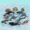 Simulated Deep Sea Ray Crab Squid Killer Whale Shark Model Desktop Ornament Set For Childrens Educational Playroom Decor