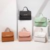 Borsa quadrata piccola da tempo libero autunno e inverno nuova borsa da donna borsa a mano semplice borsa a tracolla con catena goffrata borse transfrontaliere