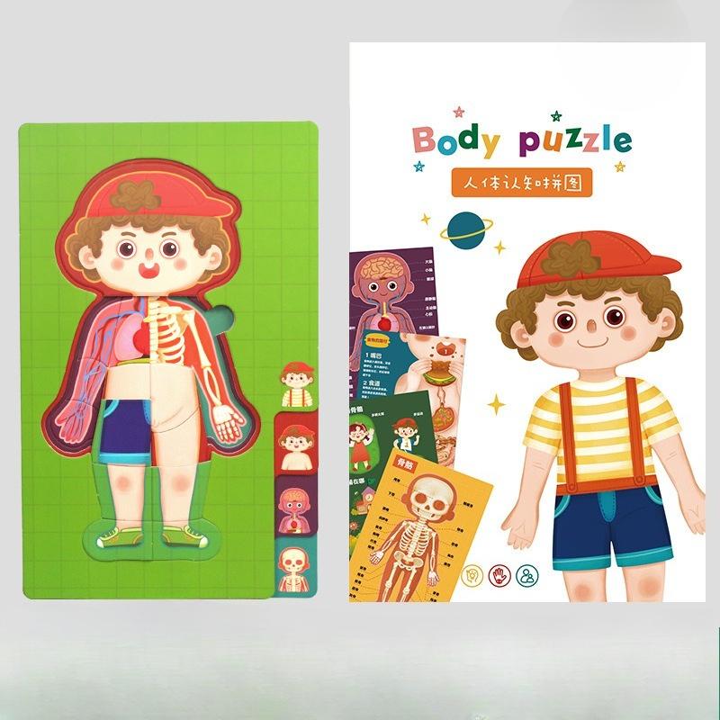 

Пазл «Строение тела для мальчиков и девочек», деревянные игрушки для маленьких детей, познание органов человека, раннее развитие, многослойный пазл