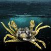 2PCS Soft Silicone Fishing Lures Simulation Rubber Crab Sea Fishing Bait Fishing Trap Tackle With Double Hook Durable New