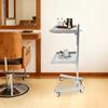 2-Tier Mobile Beauty Hairdressing Cart, Stainless Steel Rolling Utility Organizer for Salon Styling Supplies, 11lbs Capacity