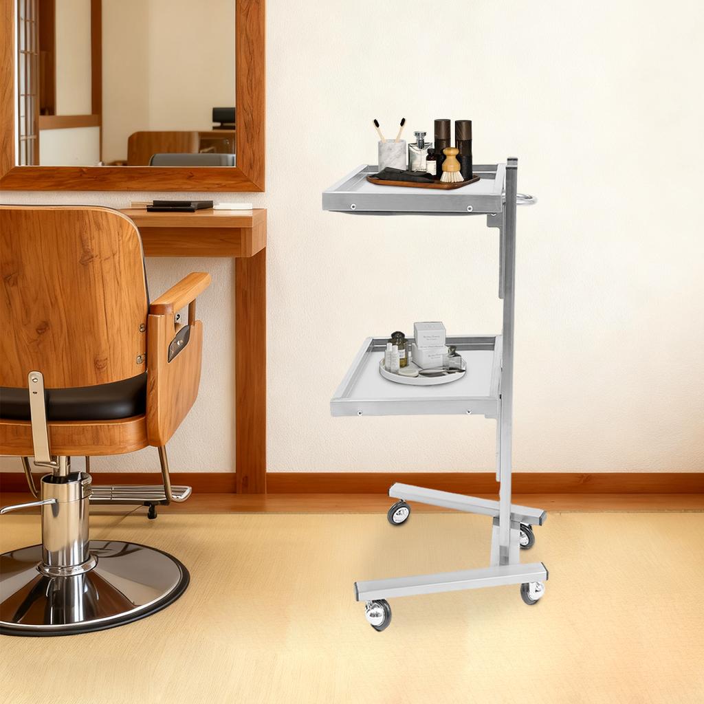 2-Tier Mobile Beauty Hairdressing Cart, Stainless Steel Rolling Utility Organizer for Salon Styling Supplies, 11lbs Capacity
