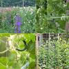 Garden Square Mesh Trellis Netting Polyester Plant Climbing Support Net For Outdoor Vegetables Fruits Vines Grow Tent Climber Holder