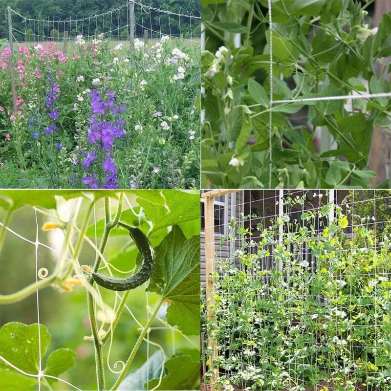 Garden Square Mesh Trellis Netting Polyester Plant Climbing Support Net For Outdoor Vegetables Fruits Vines Grow Tent Climber Holder