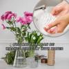 Spiral Ikebana Stem Holder Sturdy Clear Flower Arrangement Holder DIY Floral Art Accessory Table Centerpiece for Party Wedding
