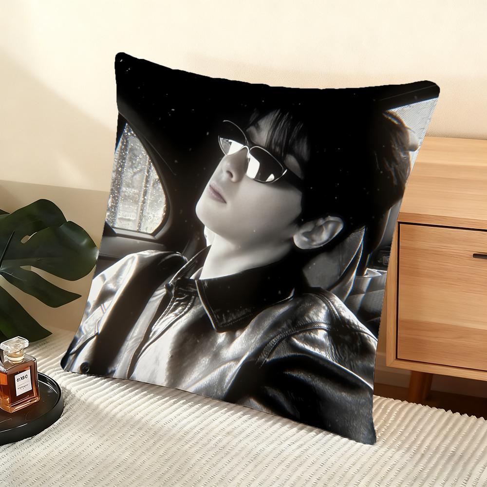 Singer Cha E-Eun W-Woo Cushion Cover Soft Short Plush Pillow Cover Smooth Cozy Texture Aesthetic Cushion Case Home Decor