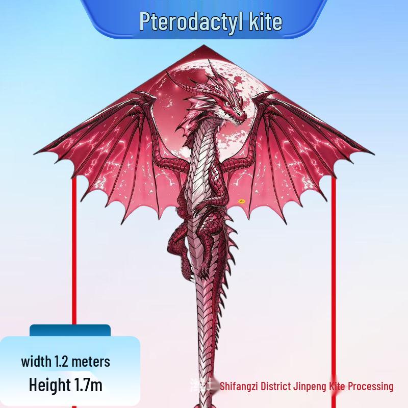 Winged Dragon Kite: High-End Cartoon Kite for Kids