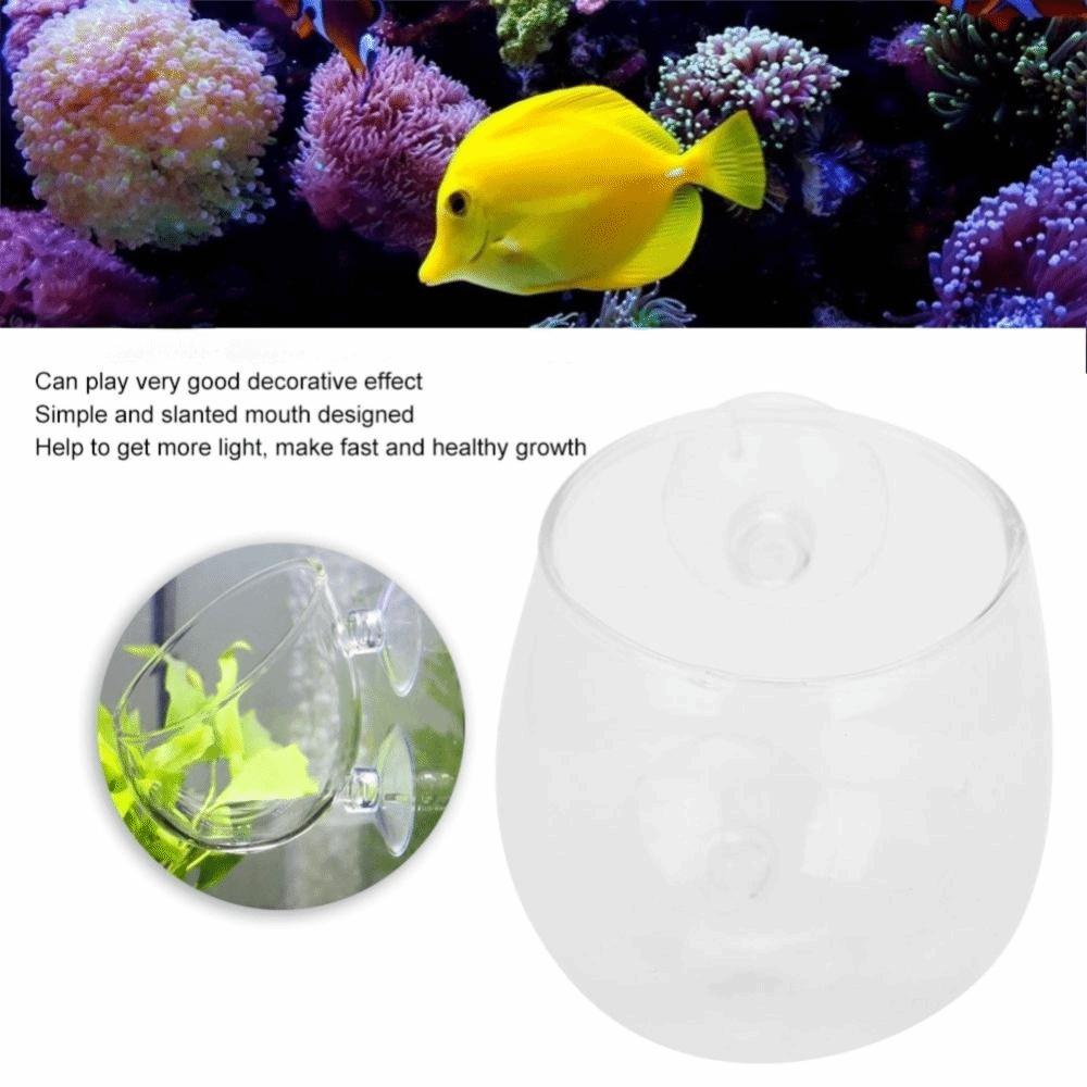 Suction Cup Mount Aquatic Plant Holder Open Top Aquascaping Cup Aquarium Plant Cup Planted Tank