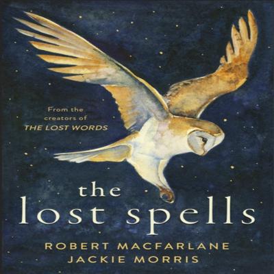 The Lost Spells by Jackie Morris Hardback Book 9780241444641
