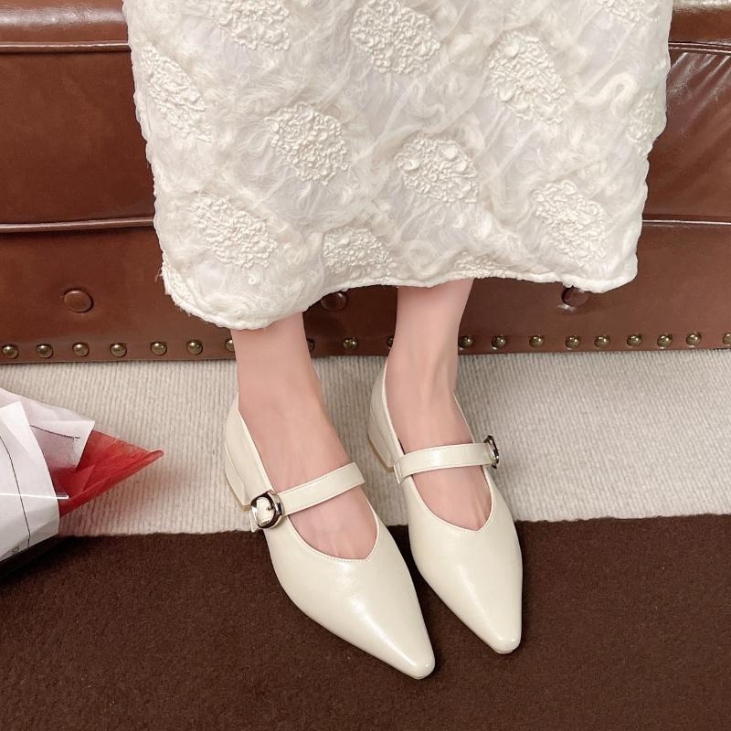 Fashion Retro Elegant Casual Mary Jane Women's Shoes 2025 Spring New Point Head Coarse Heel Shallow Mouth Pumps Comfortable Single Shoes