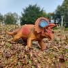 Dinosaurier Modell Spielzeug Frühes Lernen Solides Modell Realistischer Tyrannosaurus Rex Triceratops