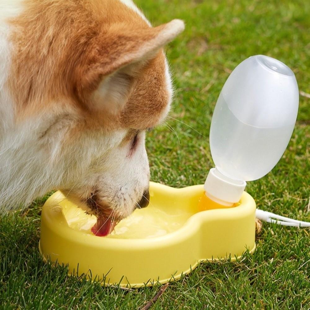 Leak Proof Portable Pet Water Bowl Plastic Food Water Container  Outdoor Travel