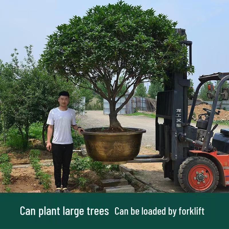 Extra Large Outdoor Plastic Flower Pot for Trees, Water Lilies, or Lotus Flowers