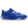 Nike Zoom Freak 5 Tb Game Royal Sneakers Casual DZ2946-400