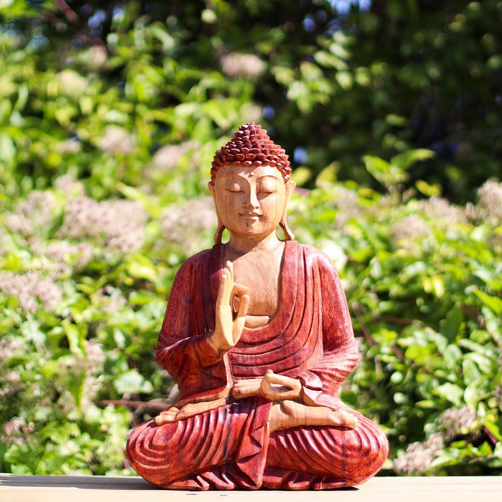Buddha Statue Hand Carved Wood Teaching Pose 30cm