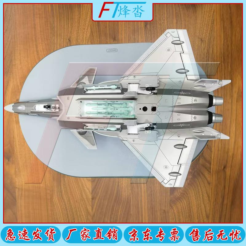 J-20 Fighter Jet Scale Model