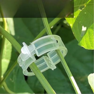 50/100 Pcs White Fruit Tree Plant Fixing Clip Vine Fixing Device Fruit and Vegetable Seedling Hanging Clip Plant Accessories
