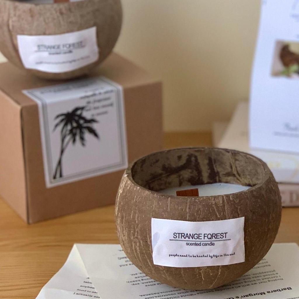 Coconut Shell Scented Candle: Home Decor & Gift