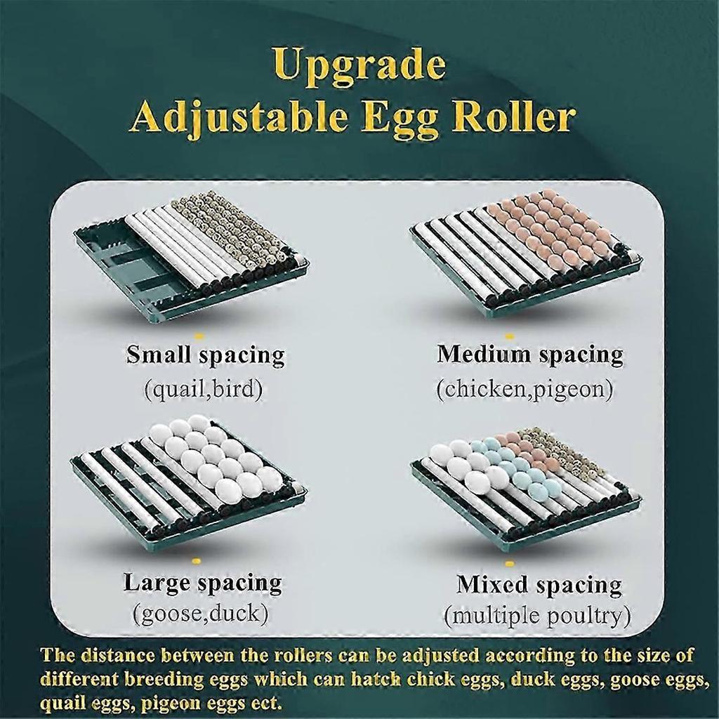 Automatic Egg Incubator with Temperature Control AU Plug