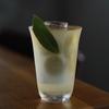 ZISIZ Ultra-Thin Collins Glass