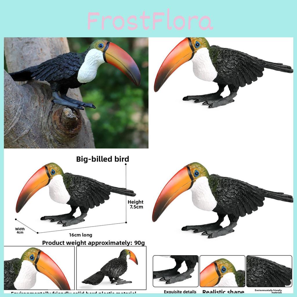 Wild Animal Big Billed Bird Ramphastos Toco Model For Childrens Learning And Play Activities