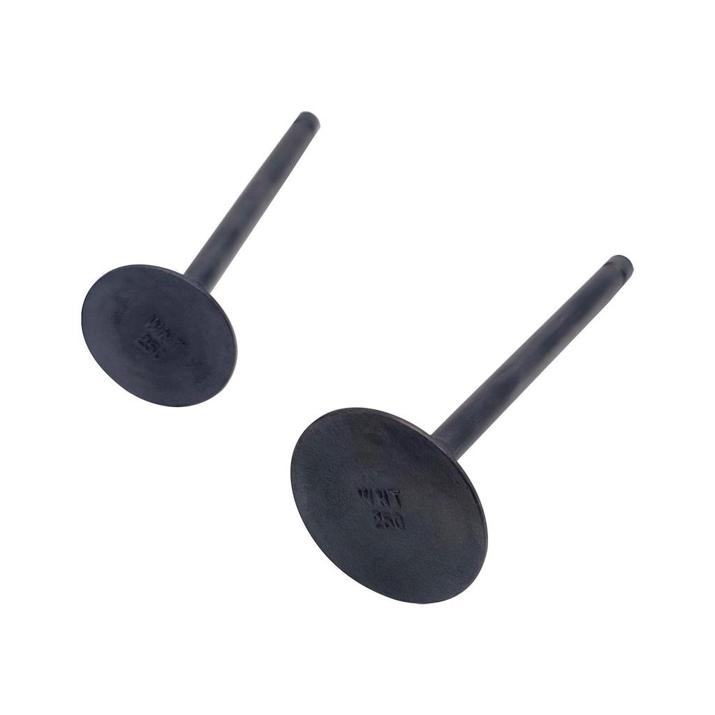 Cross-applicable LH 260 300 ATV Intake & Exhaust Valve Set (22601/22602)