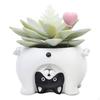 Blumentopf Niedliches Tier Blumenpflanzer Blumentopf und Gartendekoration Bonsai-Töpfe Geburtstagsgeschenk