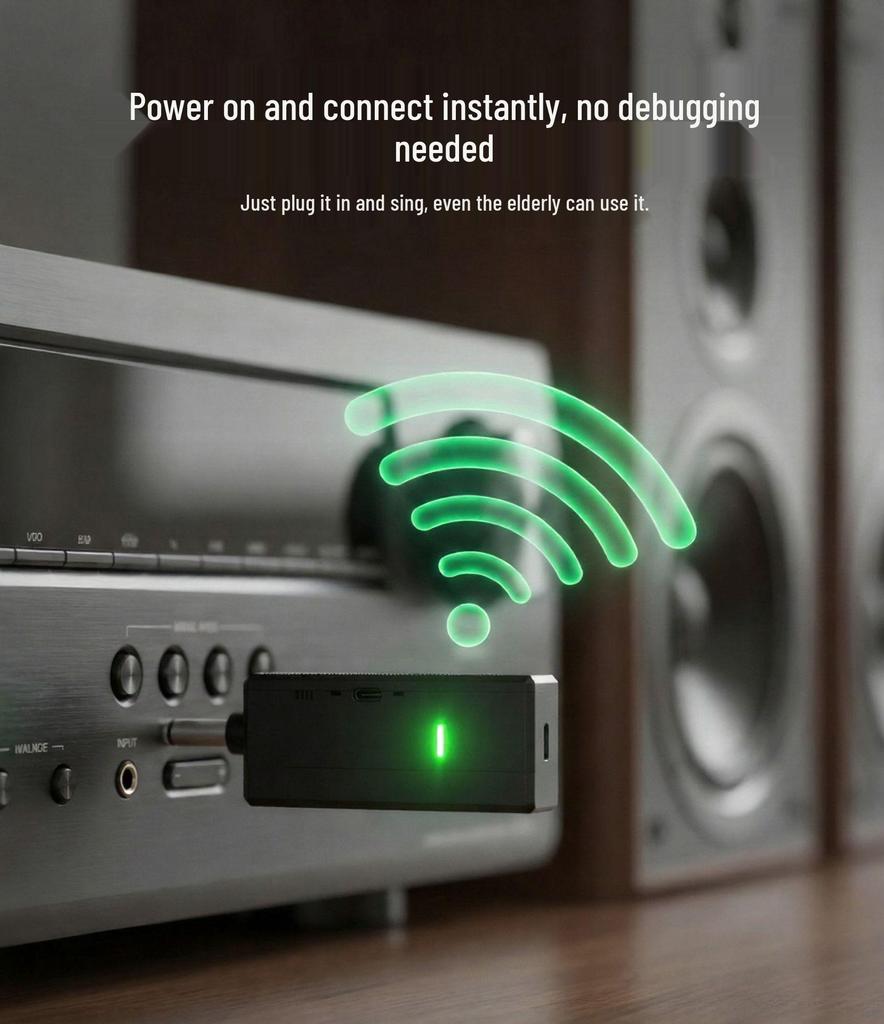 Wireless USB Microphone Duo Set for Home Use