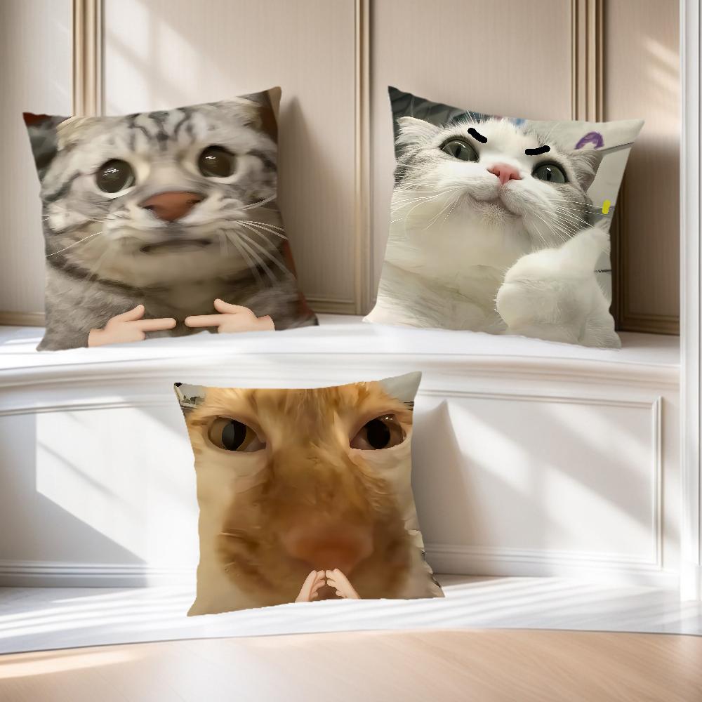 Cute Funny Cat Meme Abstract Kitten Cushion Cover Soft Pillow Case for Sofa Living Room Home Office Decor Protective Covers