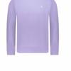 Polo Ralph Lauren Logo Embroidered Crew Neck Long Sleeve Sweatshirt Men sweatshirt Lavender 710916689-028