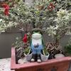 Frog Bucket Garden Resin Flowerpot Cute Small Animal Decoration Outdoor Courtyard Creative Decoration
