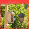 Modern Minimalist Hummingbird Acorn Bird Feeder Resin Craft Garden Decor Item