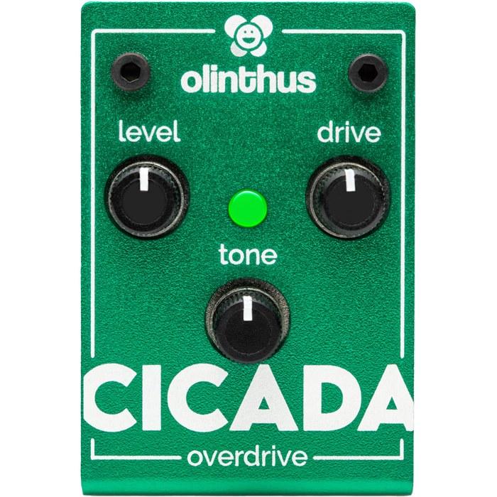 Olinthus Cicada Overdrive Effect Pedal (with Input/Output Breakout Cable) Green