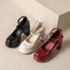 Fashion Designer Platform Women Mary Jane Shoes Fashion Elegant Double Buckle Thick Heel Shoes Ladies Dress Pumps High Heel Party Shoes