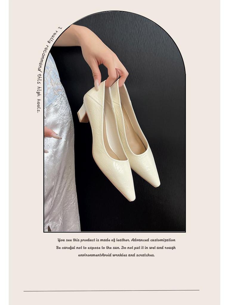 BEIJIANI Sheepskin Chunky Heel Women's Professional High Heels with Convertible Heel Option