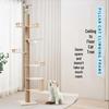 Sky-High Luxury Cat Tree with Scratching Post, Space-Saving Design, Protective Rails & Capsule Cat Stand