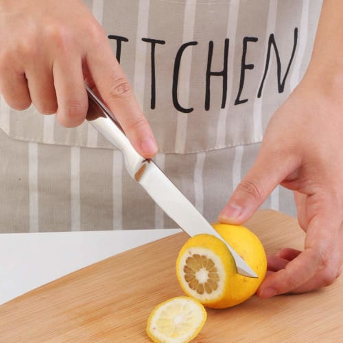 Bisda Steak Knives, 2-Piece Set, 9cm Blade, All Stainless Steel, Dishwasher Safe, Silver, Available in Multiple Colors