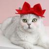 Pet Headdress Princess Style Ultra-Light Elastic Friendly To Skin Easy-wearing Dress Up Cotton Bow-knot Cat Hair Hoop Cosplay Pet Headband Pet