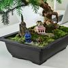Flowerpots Imitation Purple Clay Succulent Plants Pots Outdoor Garden Landscape Bonsai Pot Trays Rectangular Square Planter