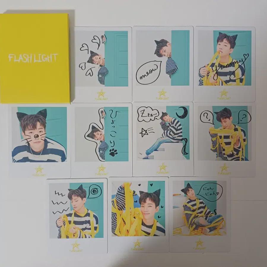 

2pm Junho 2018 Flashlight Official Merchandise Forgotten Polar Foca