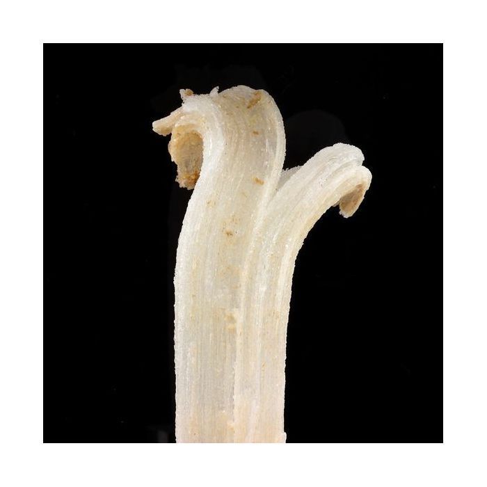 Pierres et Minéraux. Gypse. 511.5 ct. Bou Beker, Jerada Province, Maroc.