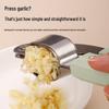 Stainless Steel Non-Slip Garlic & Ginger Press/Masher Tool