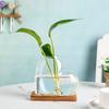 Transparent Hydroponic Glass Vase Decorative Tabletop Plant Vase Mini Terrarium  Desktop Decoration