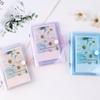 Transparent Glitter Jelly Color LOMO Cards Card Holder Mini Photo Album Photo Album Instax Album