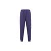Print Running Fitness Thickened And Fleece Lined Lace Up Knitted Sweatpants Men's Purple FD7346-502