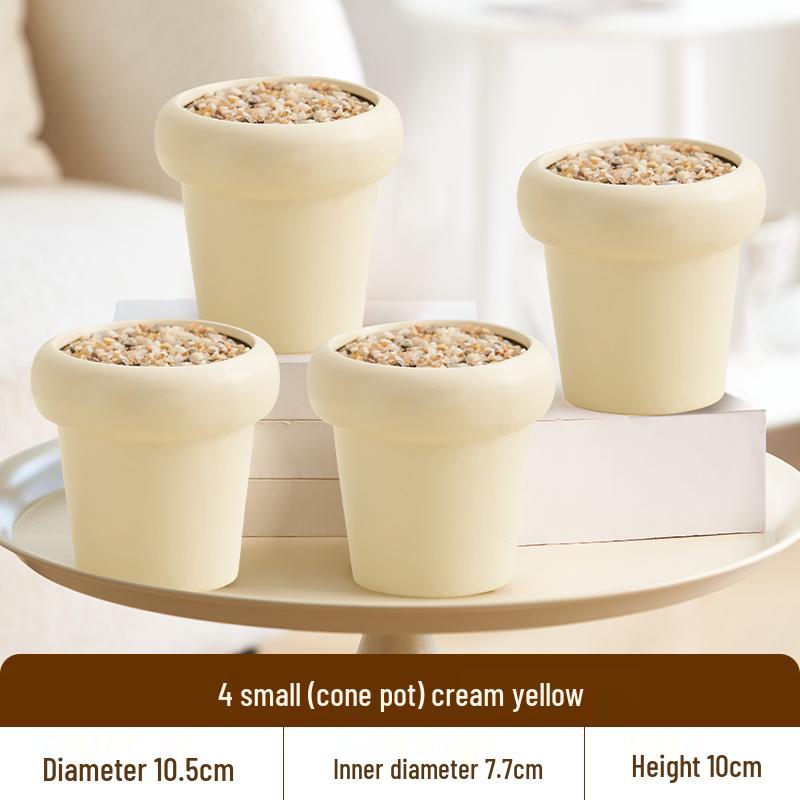 Nordic Style Cream Ceramic Succulent Pot for Phalaenopsis and Green Plants